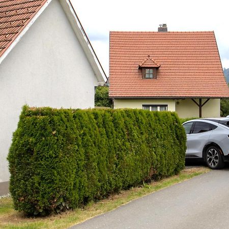 Flat Bull Appartement Mit Garten Sankt Lorenzen bei Knittelfeld ภายนอก รูปภาพ
